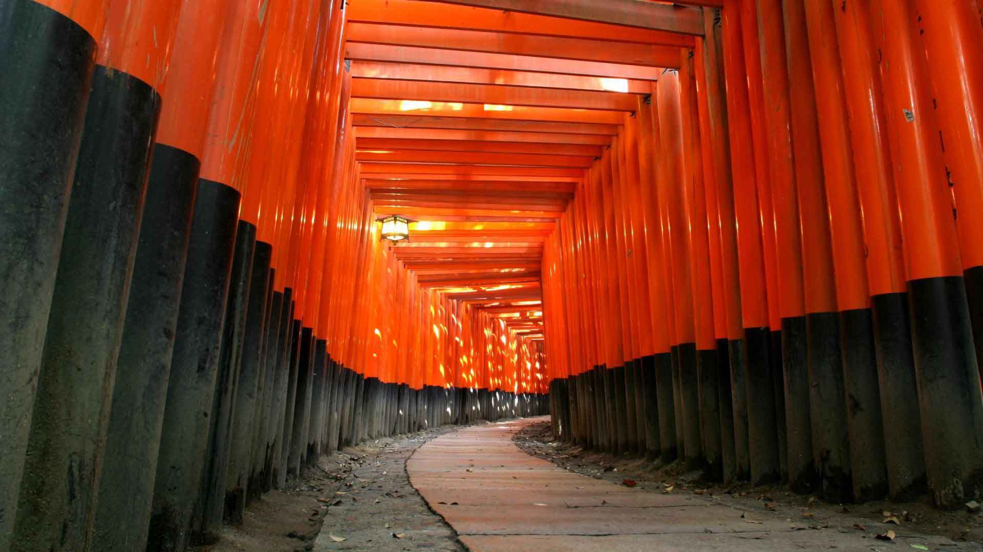 Fushimi Inari visite Kyoto sejour japon