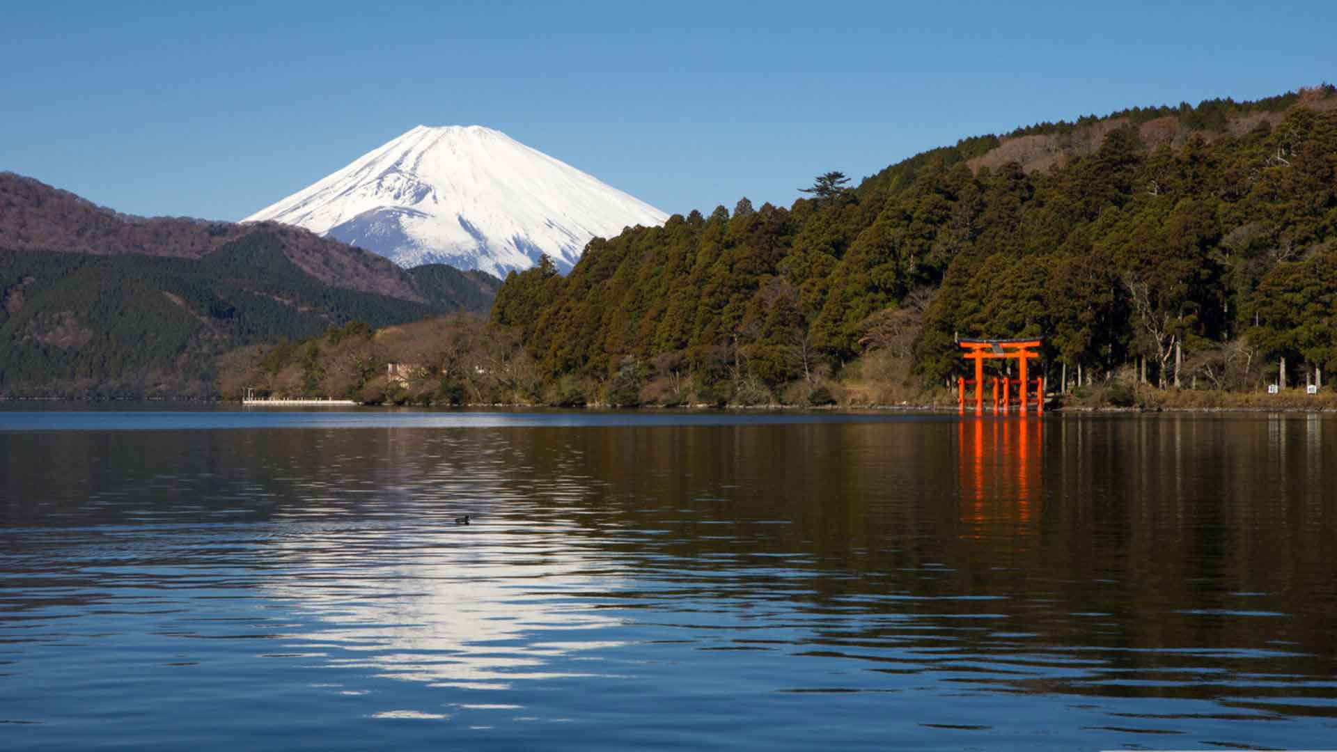 excursion Mont Fuji visite hakone Tokyo sejour japon