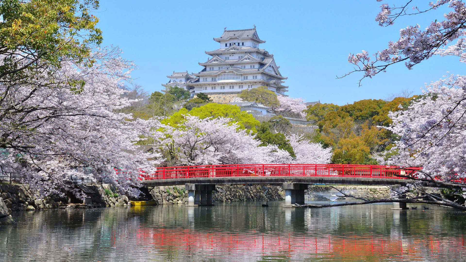 excursion chateau Himeji visite kyoto sejour japon