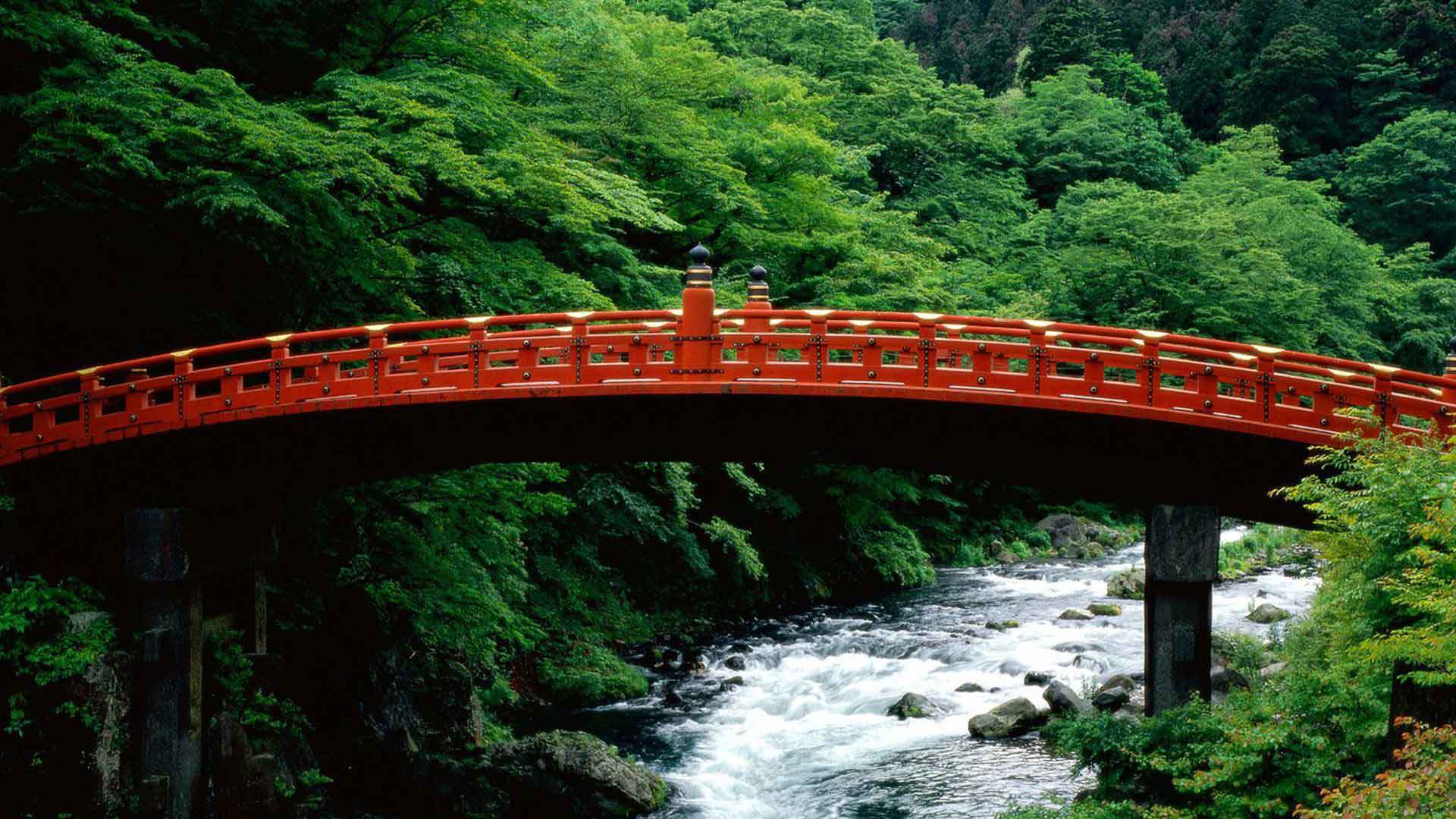excursion Nikko visite pont shinkyi sejour japon