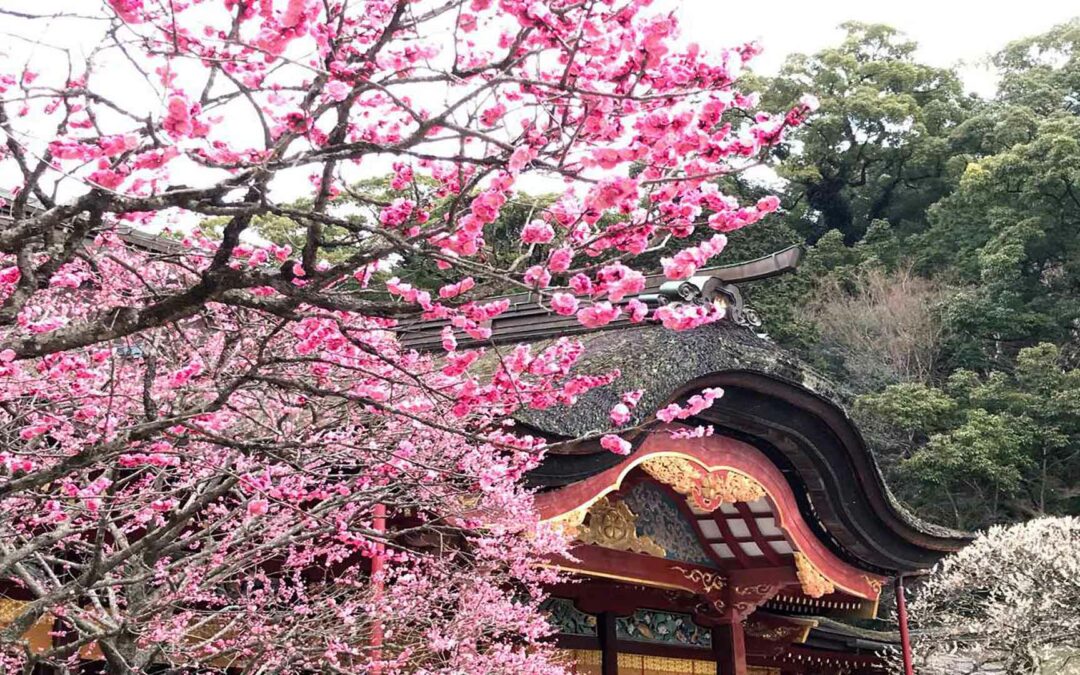 Dazaifu Tenmangu