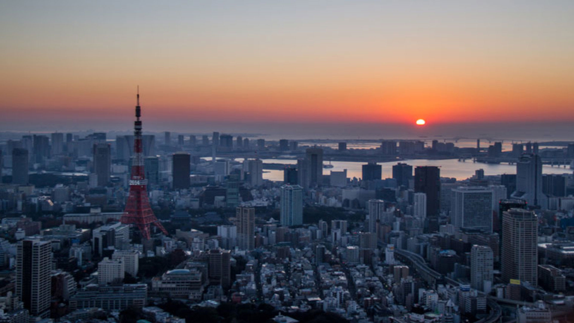 tokyo tower guide visite sejour japon